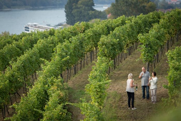 Shore excursions and activities